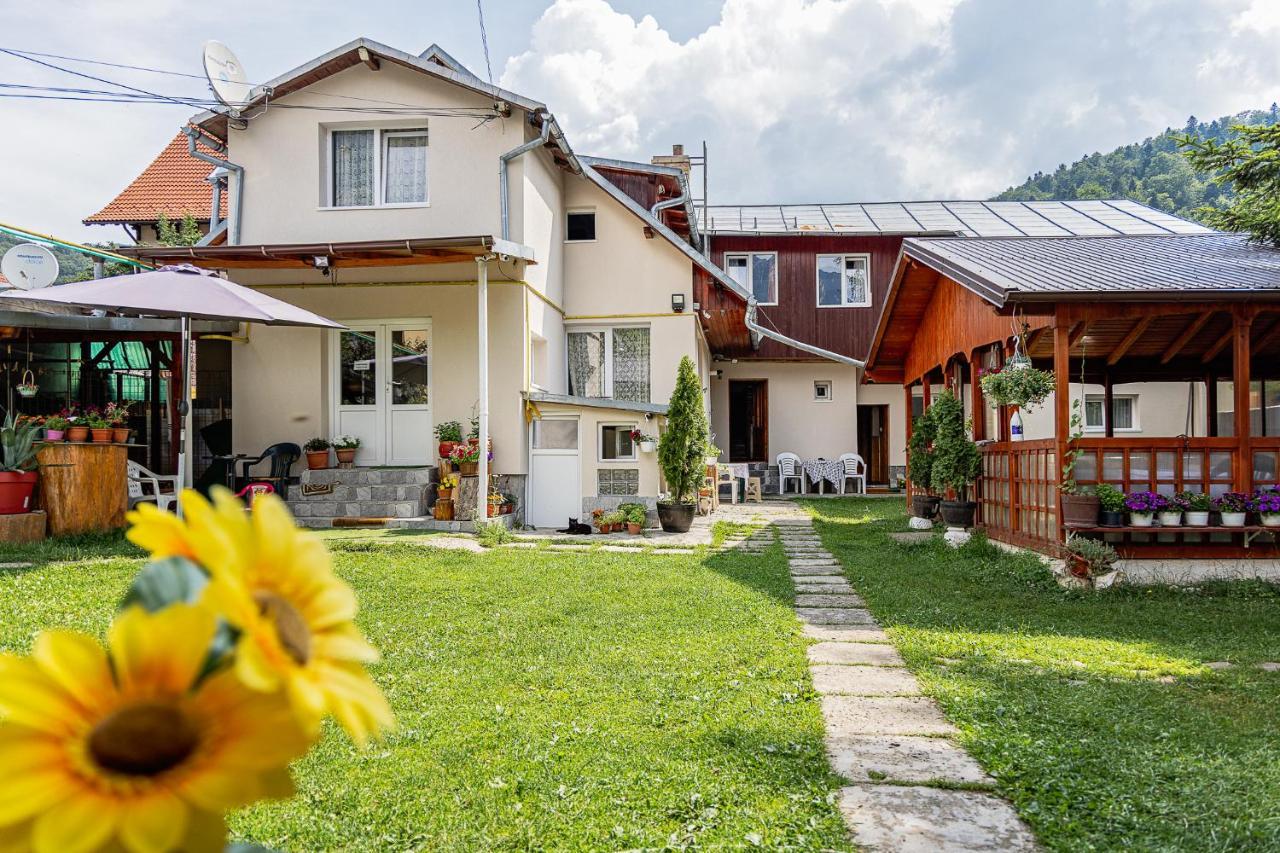 Pensiunea Montan Buşteni Exteriér fotografie
