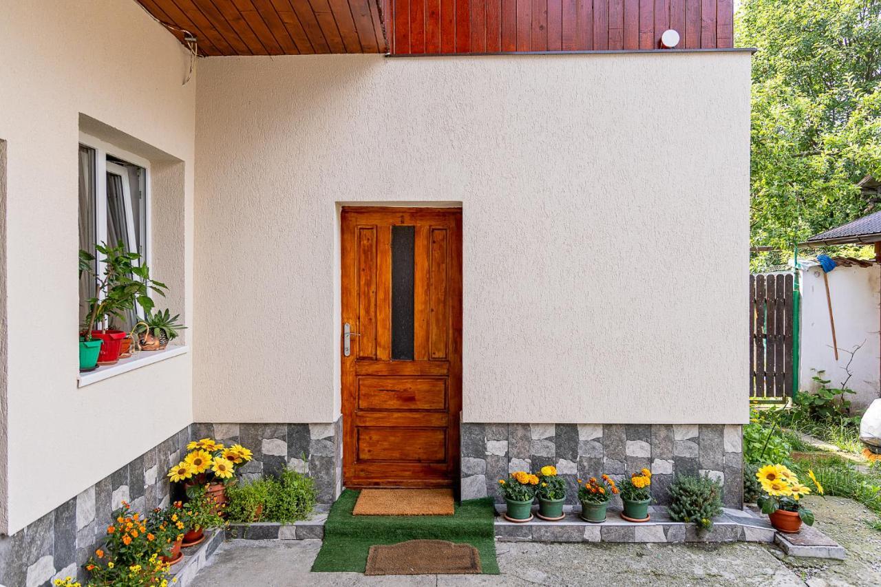 Pensiunea Montan Buşteni Exteriér fotografie