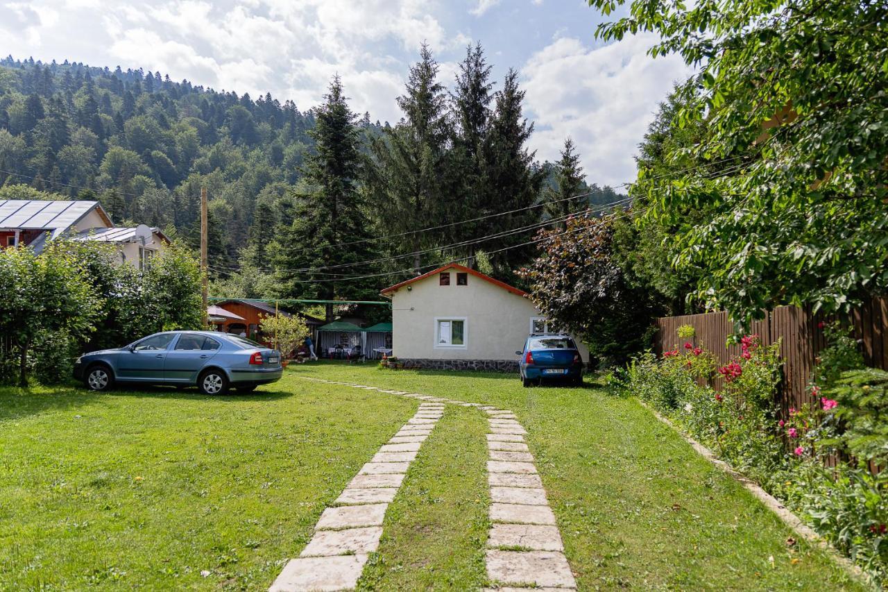 Pensiunea Montan Buşteni Exteriér fotografie