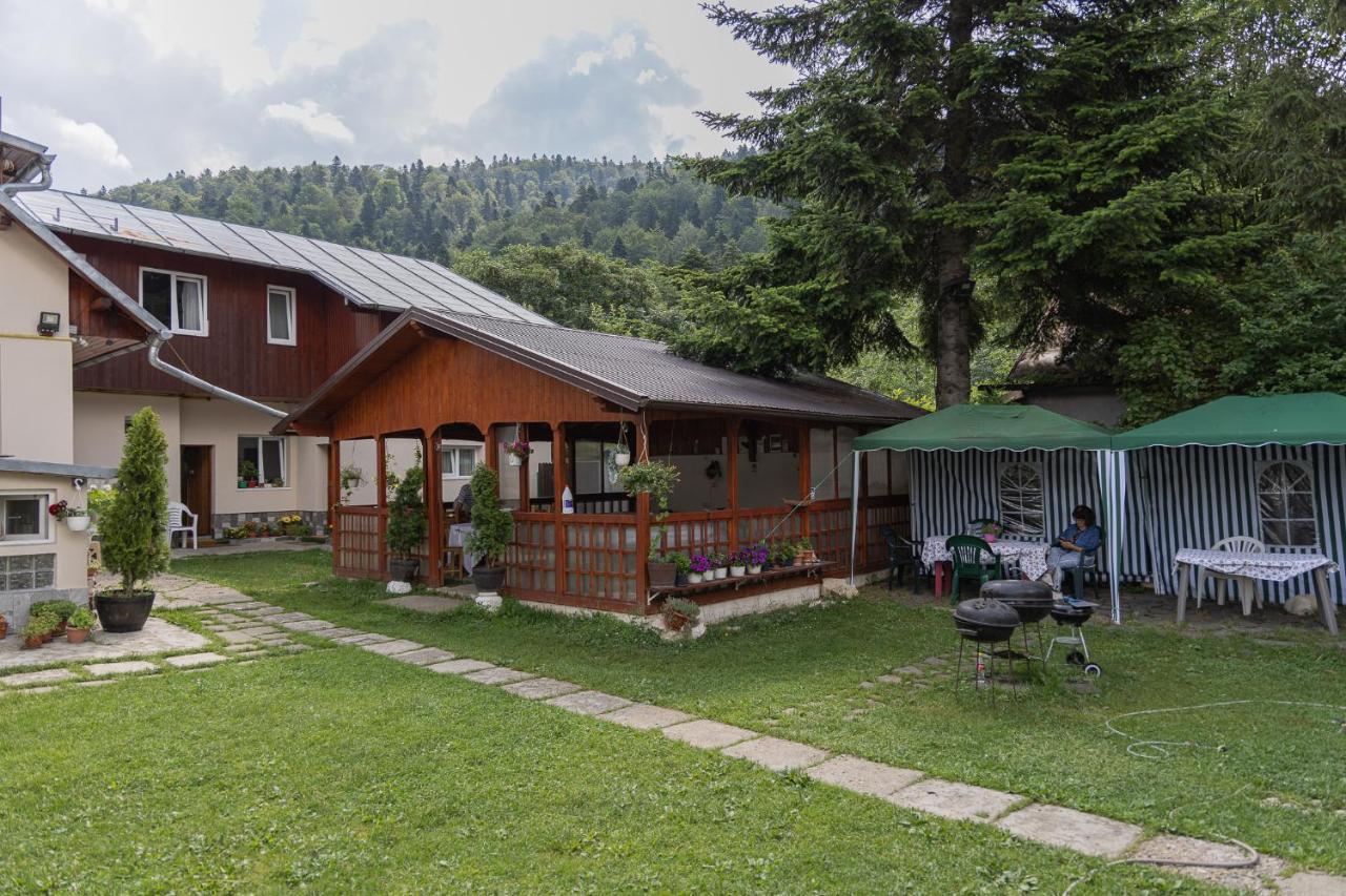 Pensiunea Montan Buşteni Exteriér fotografie