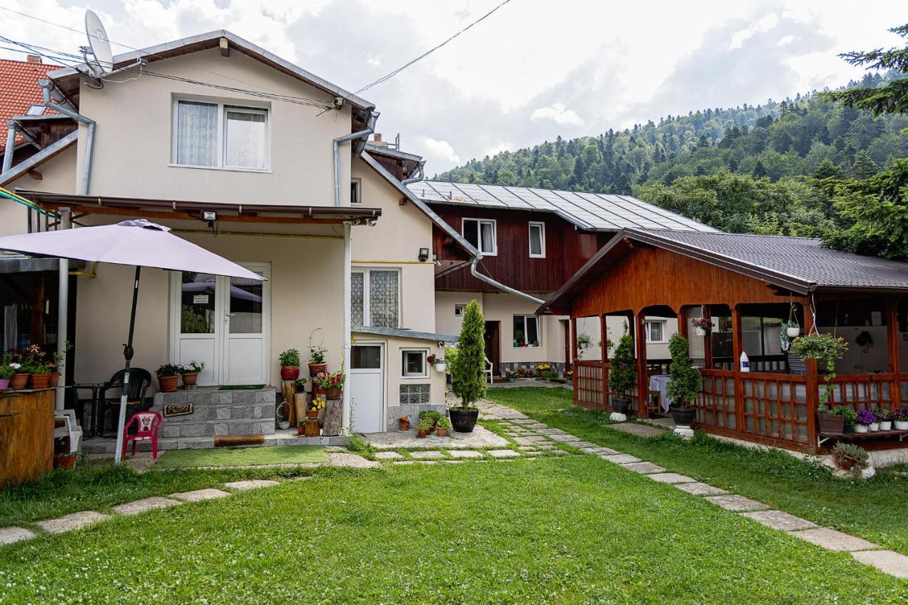 Pensiunea Montan Buşteni Exteriér fotografie