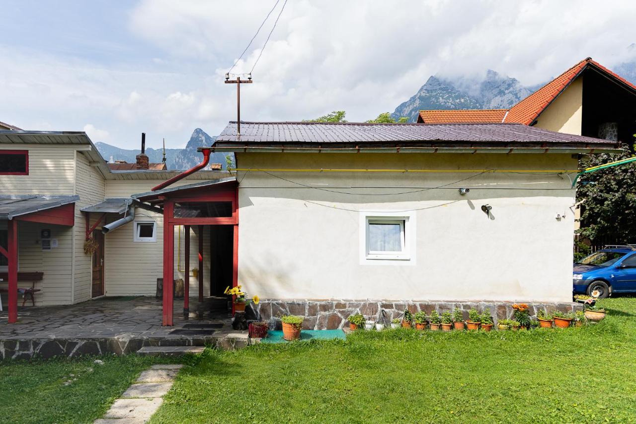 Pensiunea Montan Buşteni Exteriér fotografie