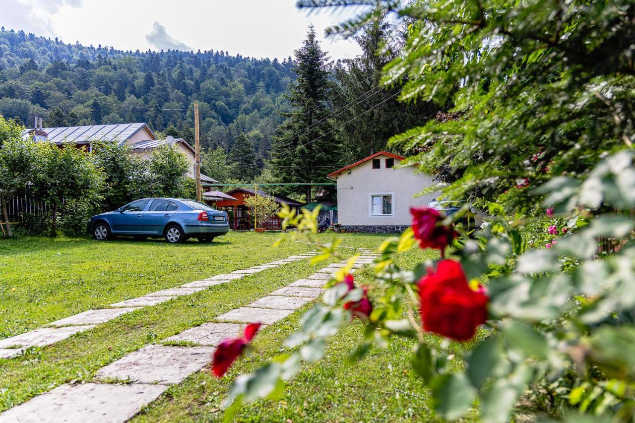 Pensiunea Montan Buşteni Exteriér fotografie