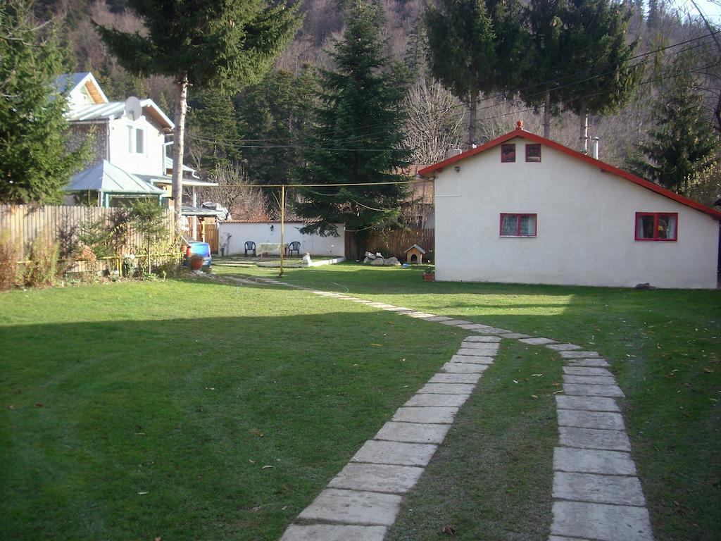 Pensiunea Montan Buşteni Exteriér fotografie