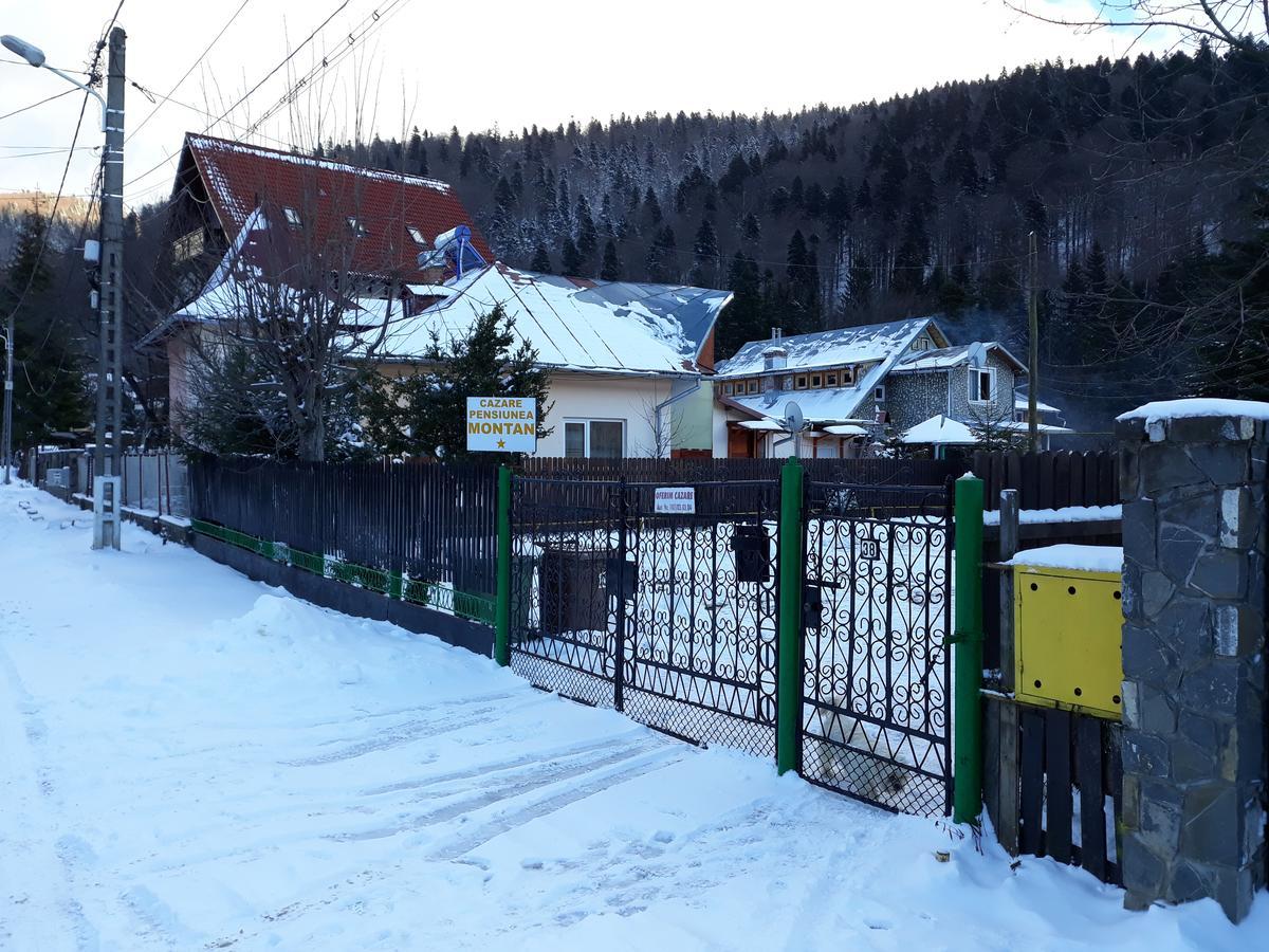 Pensiunea Montan Buşteni Exteriér fotografie